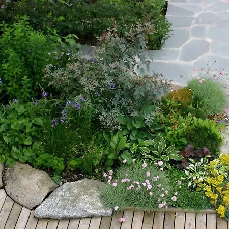 Delicate Ocean Front House - Rorbu Style バルスタ